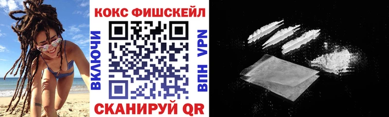 Купить где Шахты COCAIN FishScale