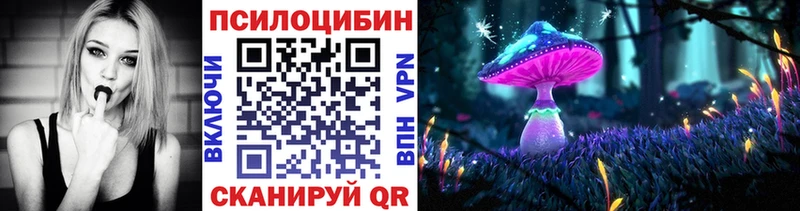 Псилоцибиновые грибы Psilocybe Шахты